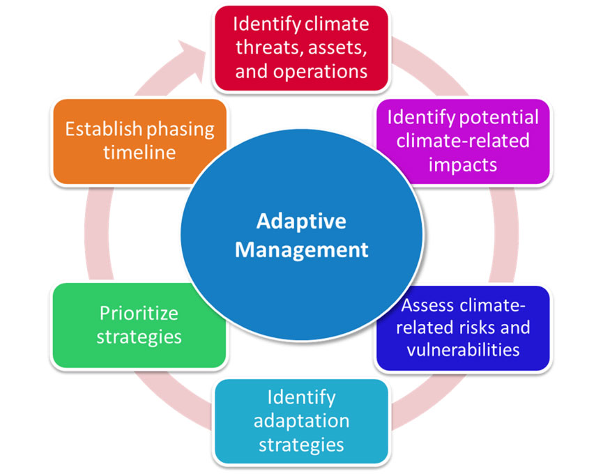 Infographic showing adaptive management for Aviation. 