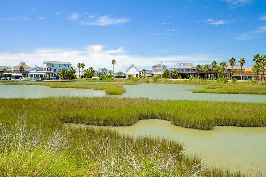 Photo of marsh with houses in the background.
