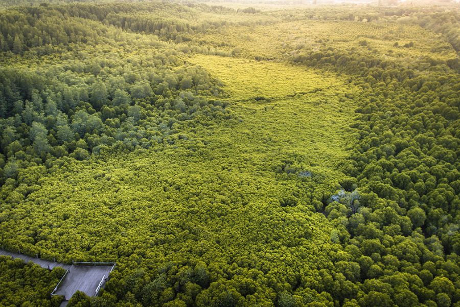 Aerial view of a field.