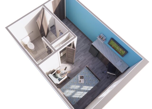 Top-down view of an apartment living area with a person sitting on a couch, a blue rug, and a desk with a football game on a screen